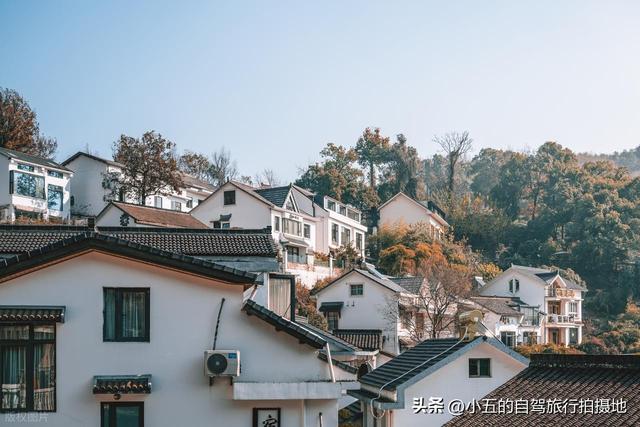 杭州满觉陇桂花攻略｜懒人版赏花路线，甜香里躺平整个秋天