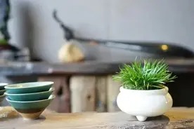 退休之后，参加亲戚朋友家的红白事，一定要记住这五条规矩图片