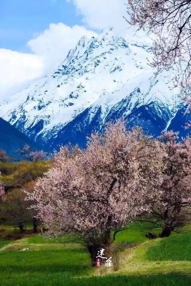 你的第一次旅行去了哪？这些地方藏着最暖的回忆