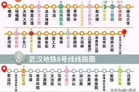 武汉各区运营及在建地铁大盘点，洪山区7条列第一!图片