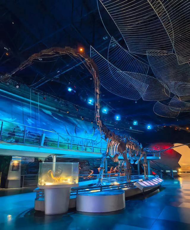 常州恐龙园终极攻略:从门票到路线,保姆级规划带你玩转日夜场