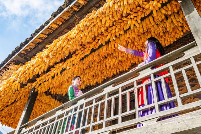 四川石棉蟹螺藏族乡：金秋藏堡 岁月鎏金