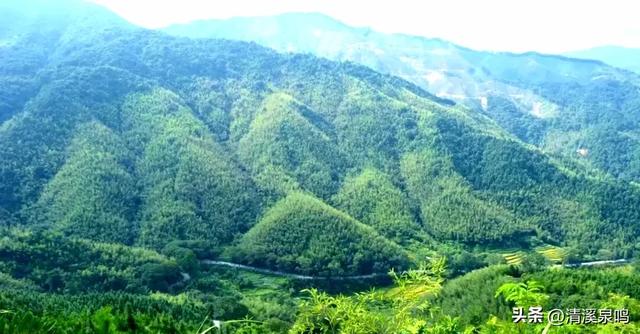 五山清波记