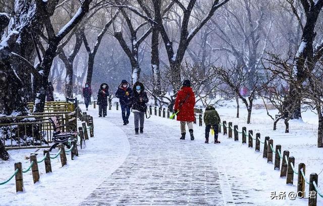 “白天冬至，单衣过冬；晚上冬至，冻死老牛”，今年冬至在何时？