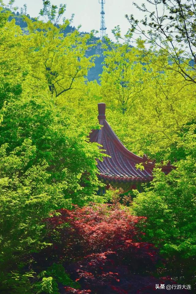 八个免费公园，大连山林海趣全打卡！