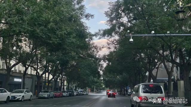 【西安游学之五】城市骑行:盛唐光影与市井烟火的交响