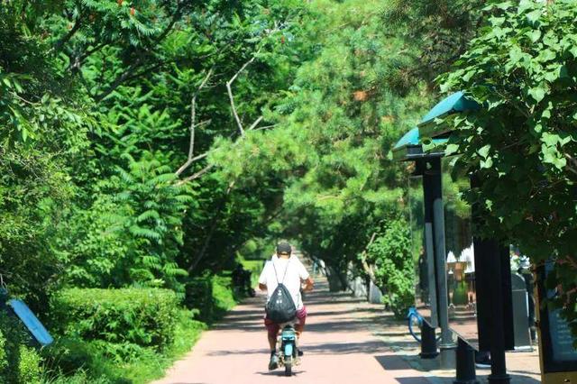 在长春，遇见“多巴胺”夏天