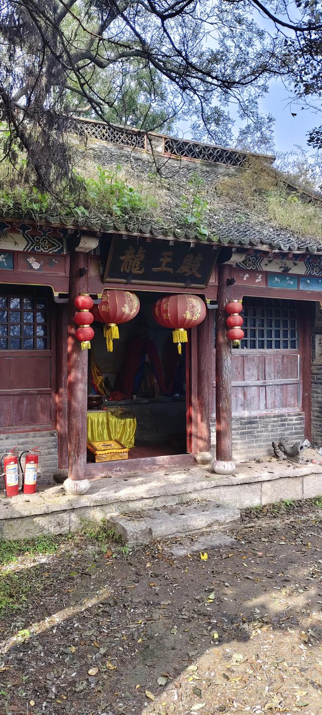 去博山盆泉张丹顶赏红叶