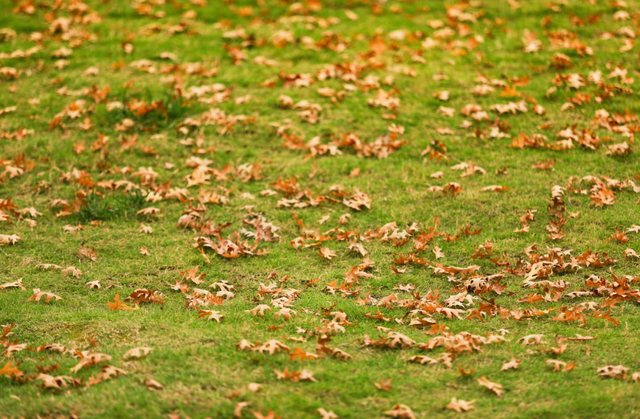 手机被1.4万张照片撑爆	，我才明白这个道理