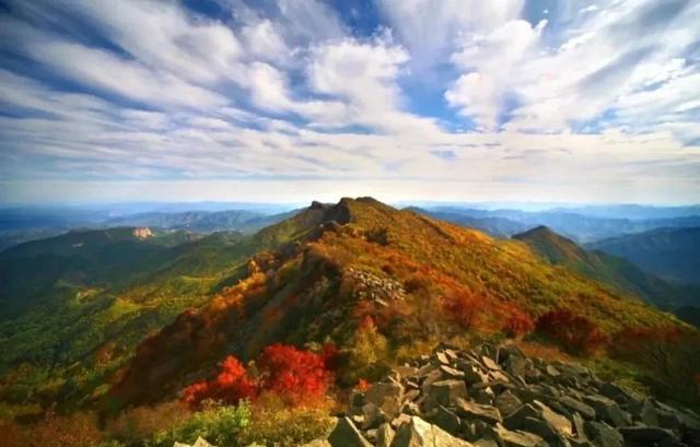 2025北京赏秋秘籍|避开人潮,独享紫禁城外的金色浪漫