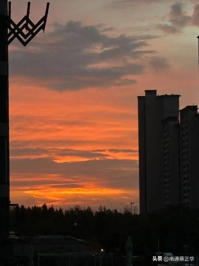 如东的秋天，都藏在这里了→