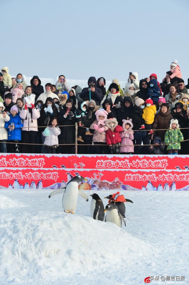 视觉·昌吉 | 昌吉“丝路冰城”火了！冰雕、驯鹿、雪地摩托，解锁冬日浪漫