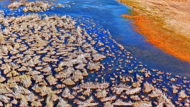 内蒙古杭锦旗：湿地秋景惹人醉