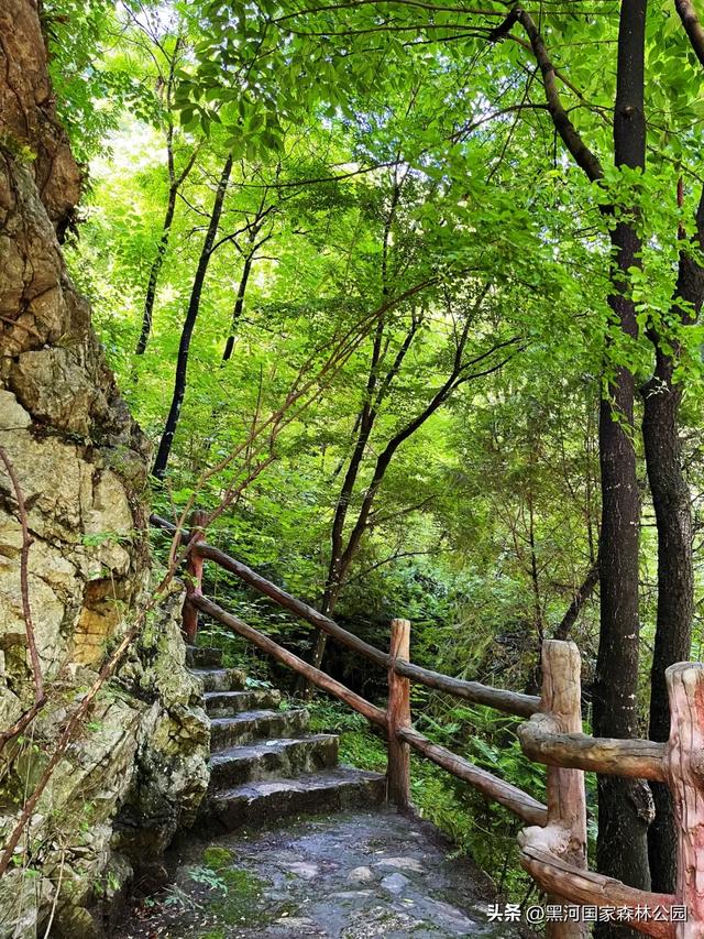 夏末初秋,出游正当时,在黑河邂逅夏秋两季交替之美