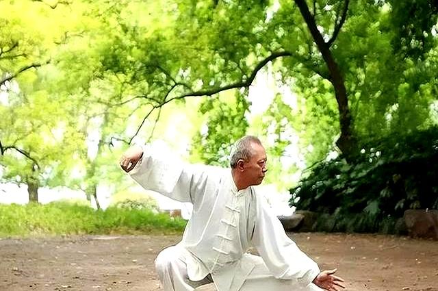 学太极拳此套路，一通百通，融会贯通