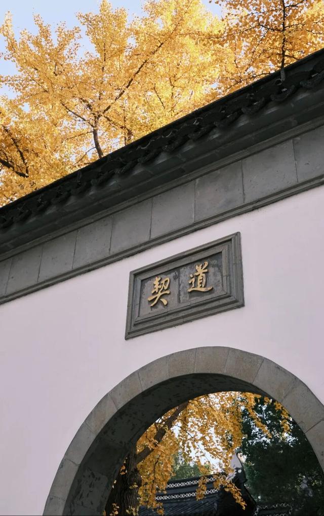 江阴版“西红柿炒蛋”，上线了！