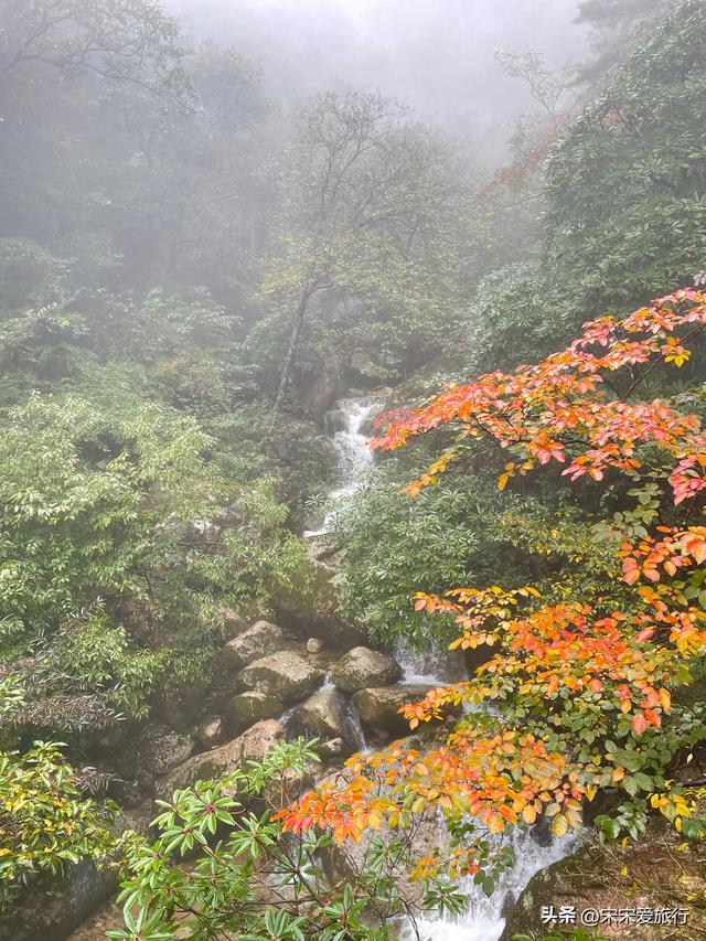 黄山｜2024年两人一狗北京自驾惠州第4站，黄山和古村落孰美？