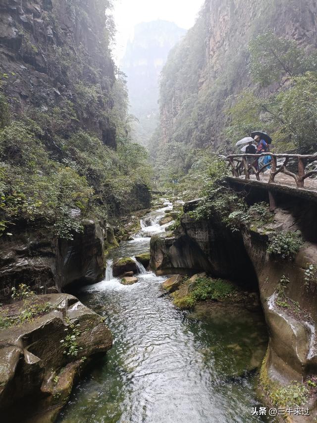 无为在歧路，2025之经行