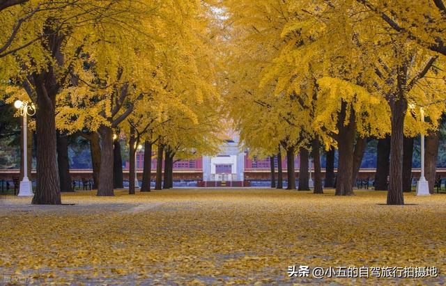 11月旅游的目的地推荐|每一个都是出片圣地的存在