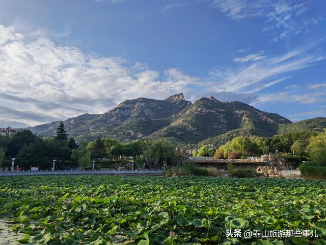 泰山脚下一座无废城市公园，东临“泰安曼哈顿”，斥资4700万打造