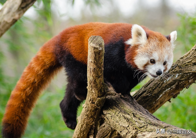 好客山东好品山东｜临沂遛娃去哪儿？初冬攻略收藏就出发～