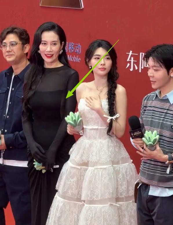 海南红毯好俗	，毛晓彤挤出副乳，张萌深V不怕走光，宋茜胸骨凸出