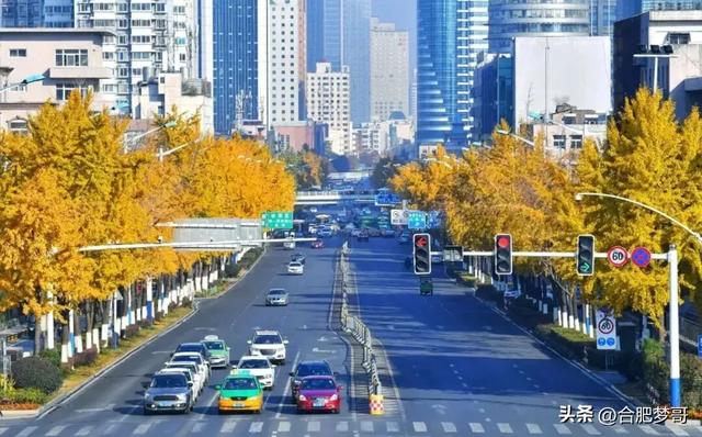 合肥市中心：徽州大道“金色大道”一眼回庐州