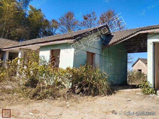 山顶有个废弃通信站，杭州这座三区界山很高爬起来却完全不累