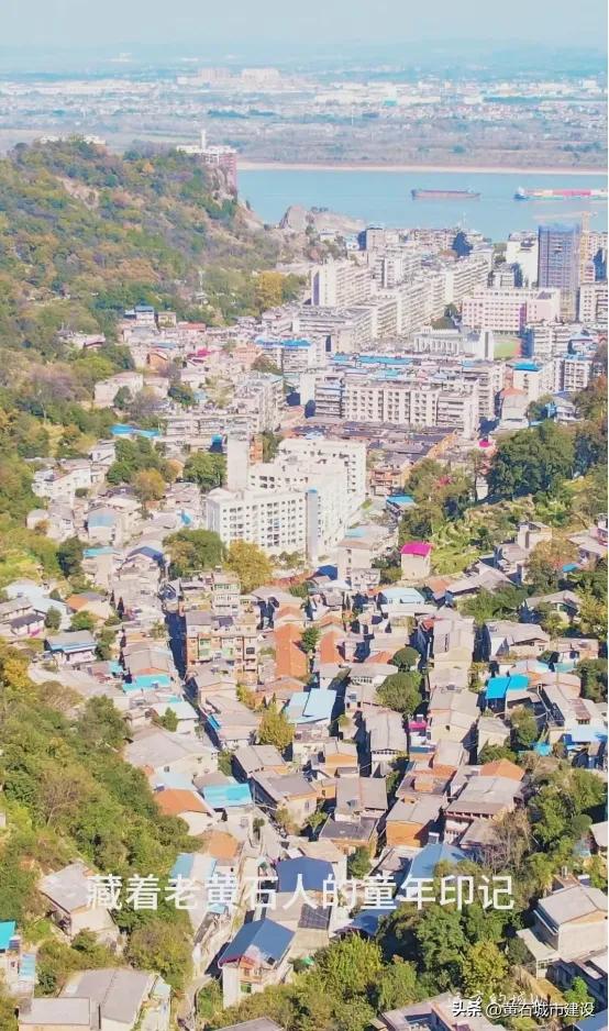 最大1600岁!黄石这几棵银杏王 你都打卡了吗?