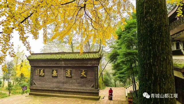 美疯！我就说初冬的都江堰有真东西！