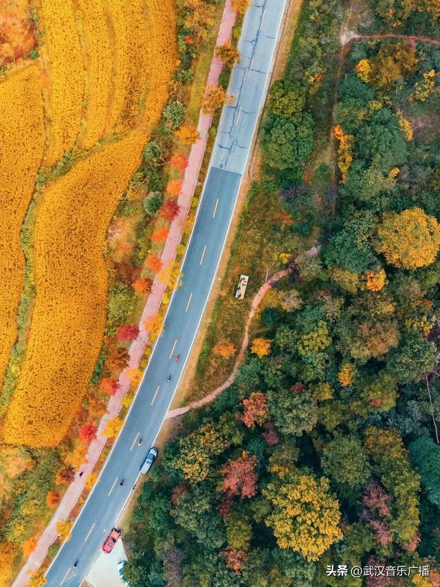 武汉城市漫游攻略