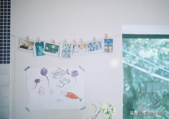富士 instax WIDE Evo 评测