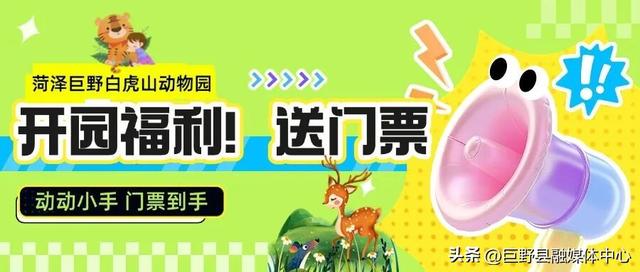 定了！国庆开园！门票免费送！菏泽白虎山动物园10月1日强势回归！