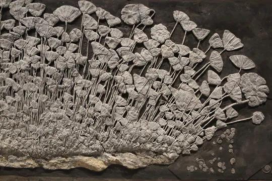 一个村办博物馆,为何能吸引各地游客前去参观?