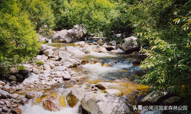 热浪再度来袭？不如进山去！享受20℃+的清凉舒爽