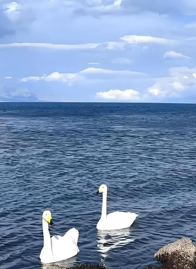 游新疆净海赛里木湖