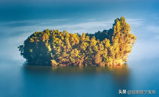 寻找旅居晋宁的密码