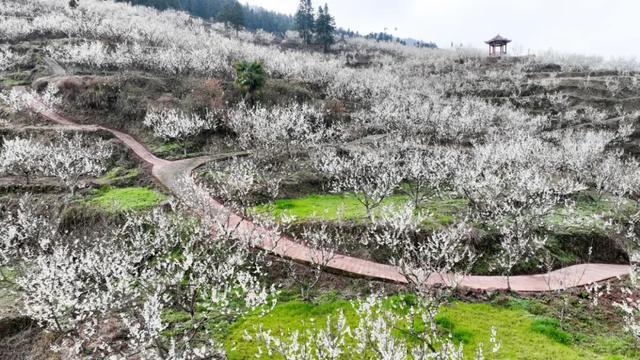 村歌村村唱·每日一歌丨高桥镇的美景与幸福藏不住了~