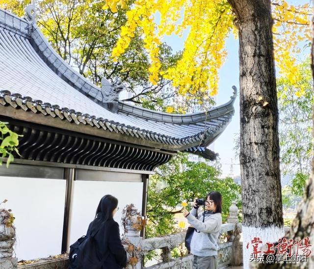 石鼓书院冬韵渐浓 景色如画