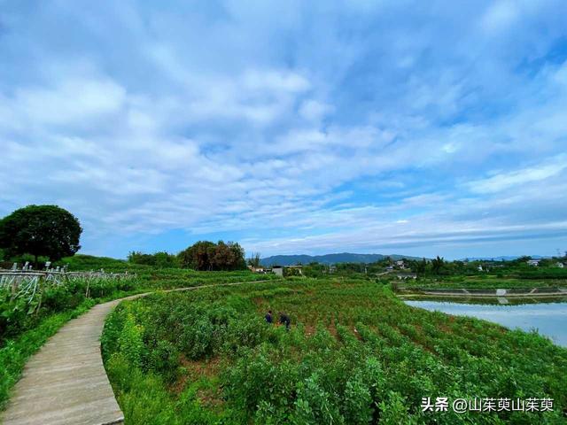 2023年春重庆探亲游（上篇）