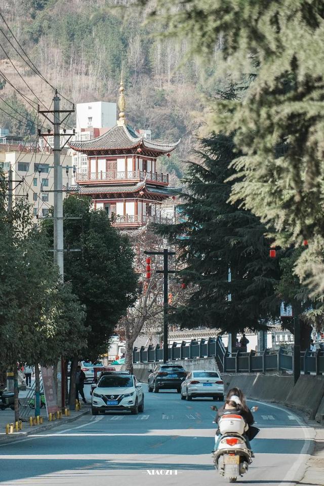 别等春天！陇南的冬日密语里，藏着限定版春日烂漫