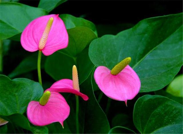 情感爆文《在感情的世界里，懂比爱重要》