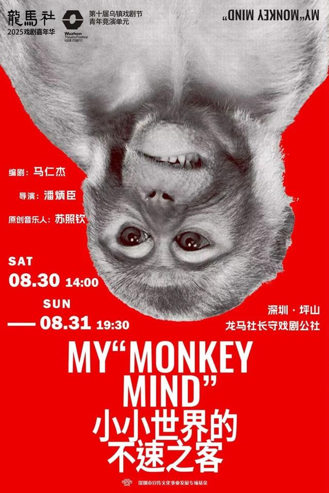 开幕！深圳夏夜新“顶流”来袭！