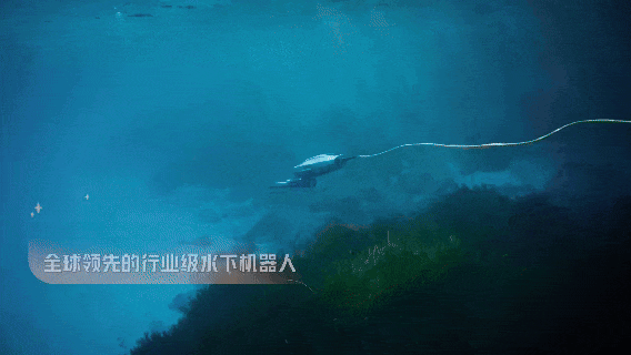 外交部发言人海外转发！深圳机器人“组团”跳舞带火深圳造