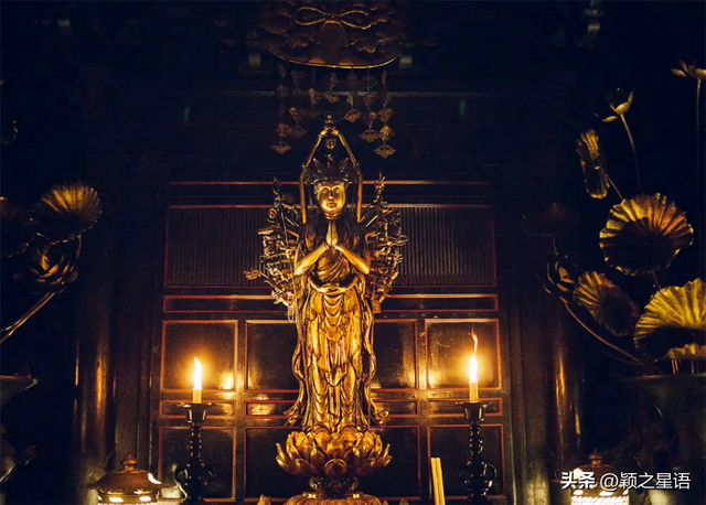 日本为啥人均寿命世界最高？为啥都喜欢到日本购物