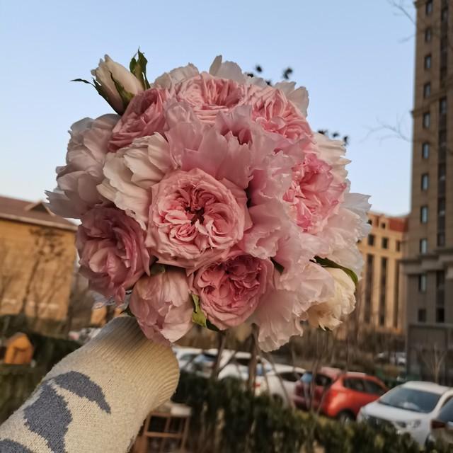 每一天都是幸福