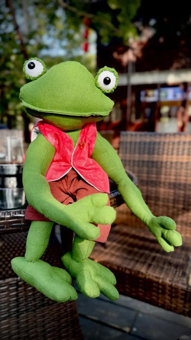 你一声秋不晚，我便到了真江南｜姑苏寻秋