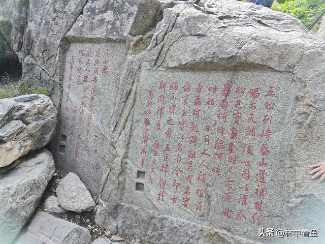 徒步登泰山之二——又是3小时，从中天门到南天门，不累！