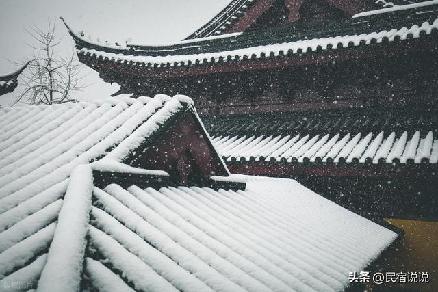 南京在大寒里突现“名场面”，据说都藏在这里，超值得玩。