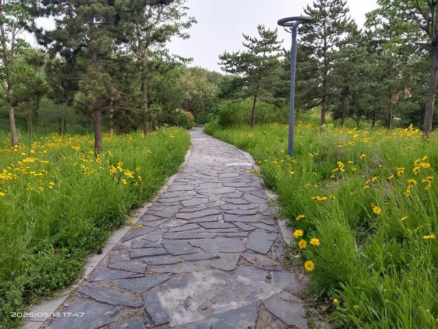 天齐渊，上古八大神之首所在地。